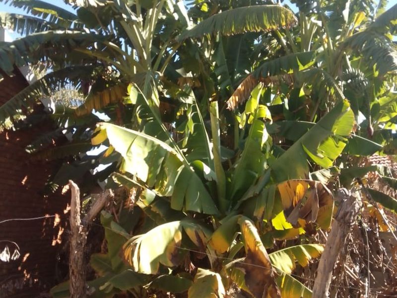 House For Sale in Fauna Park - Photo 10