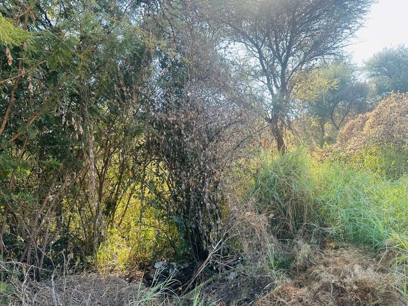 Vacant Land Residential For Sale in Chroompark - Photo 4