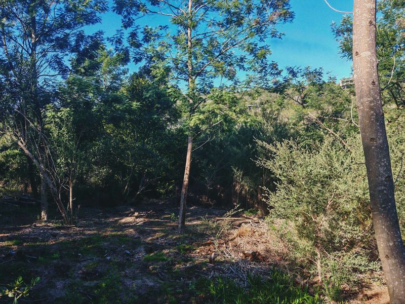 Vacant Land Residential For Sale in Langvlei Dunes - Photo 10