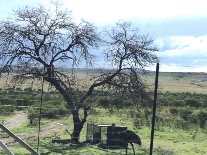 Farm For Sale in Newcastle Rural - Photo 6