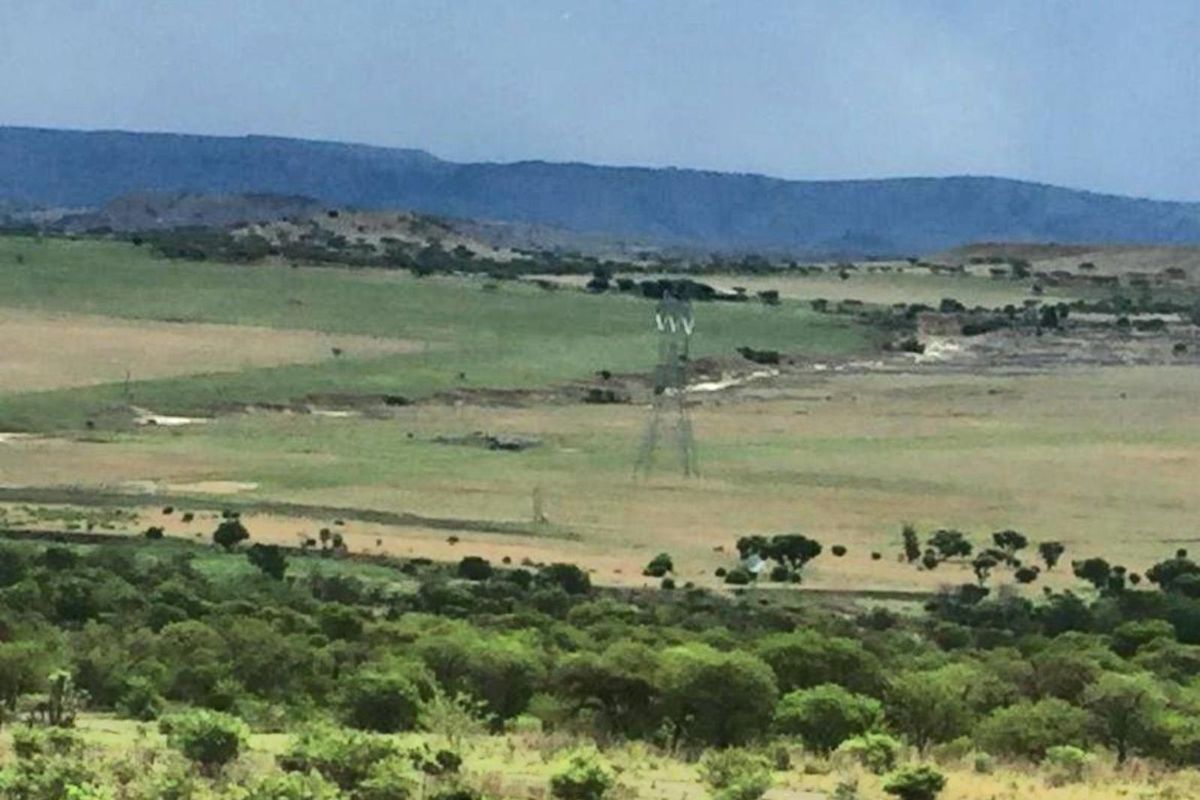 Farm For Sale in Newcastle Rural - Photo 4