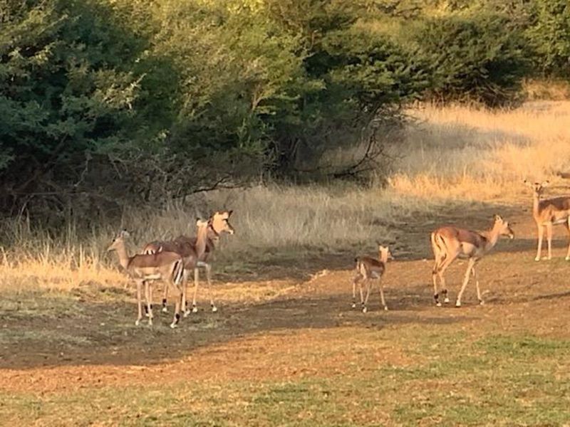 Farm For Sale in Newcastle Rural - Photo 7