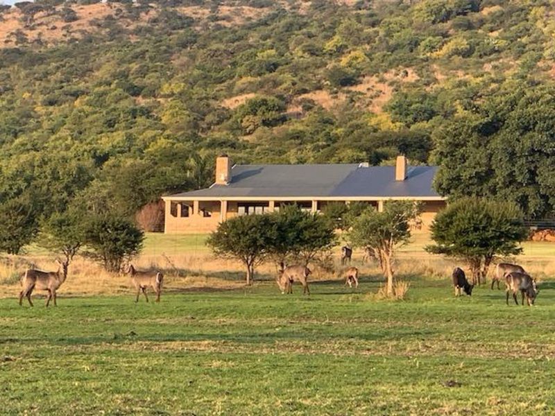 Farm For Sale in Newcastle Rural - Photo 9