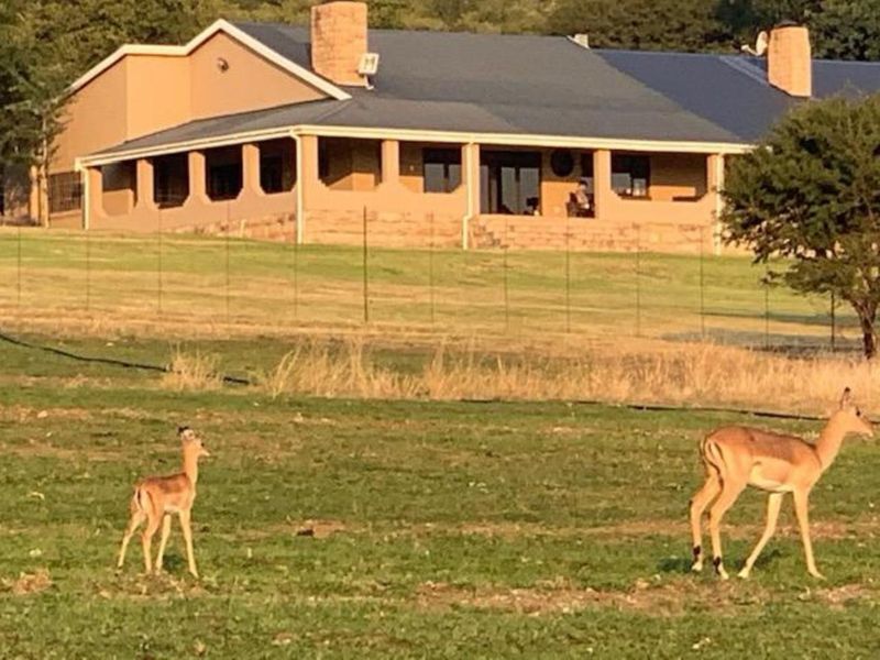 Farm For Sale in Newcastle Rural - Photo 8