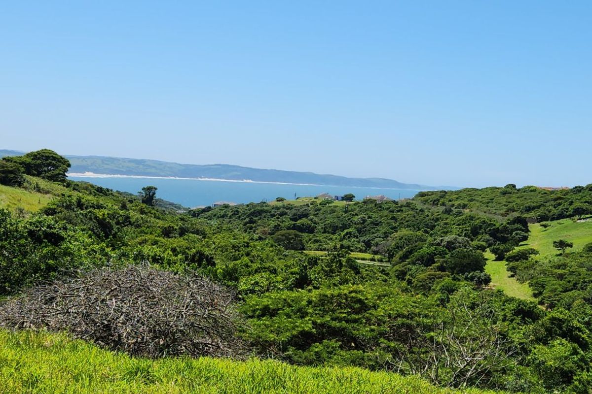 Vacant Land Residential For Sale in Cintsa West - Photo 3