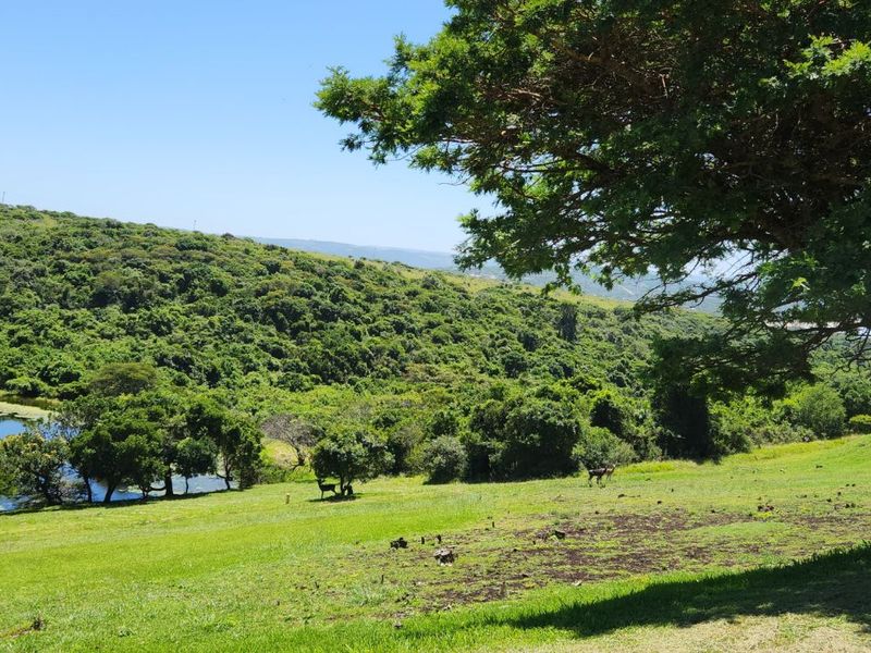 Vacant Land Residential For Sale in Cintsa West - Photo 6