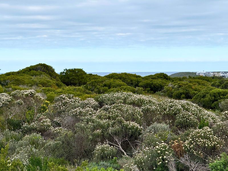 Vacant Land Residential For Sale in Kleinbaai - Photo 2