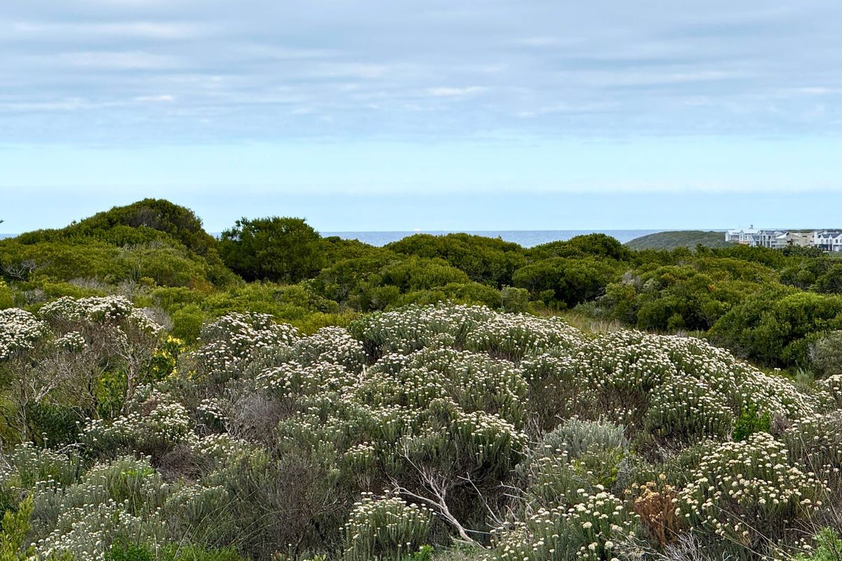 Vacant Land Residential For Sale in Kleinbaai - Photo 2