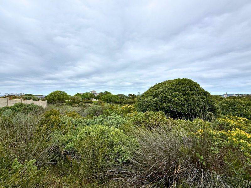 Vacant Land Residential For Sale in Kleinbaai - Photo 3