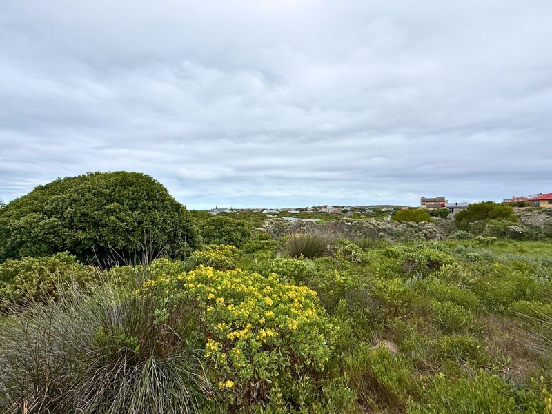 Vacant Land Residential For Sale in Kleinbaai - Photo 4