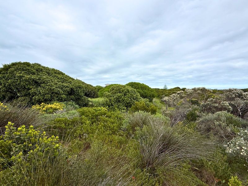 Vacant Land Residential For Sale in Kleinbaai - Photo 8