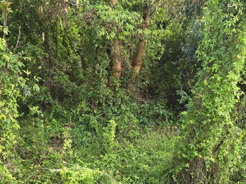 Vacant Land Residential For Sale in Gordons Bay Village - Photo 5