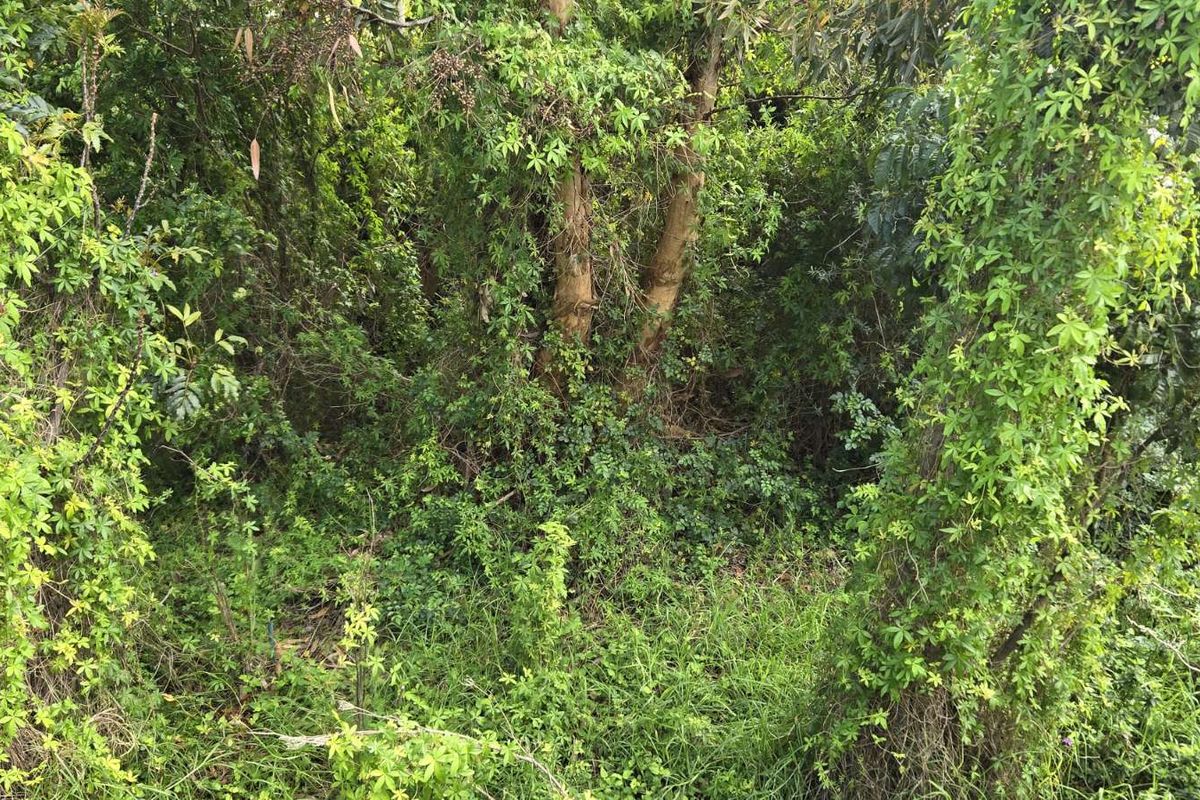 Vacant Land Residential For Sale in Gordons Bay Village - Photo 5