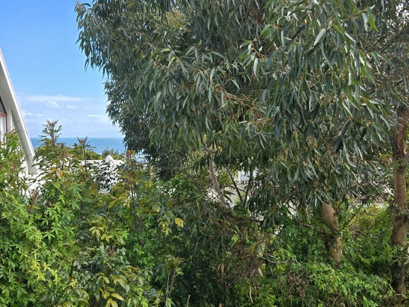 Vacant Land Residential For Sale in Gordons Bay Village - Photo 4