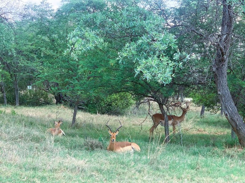 Vacant Land Residential For Sale in Koro Creek Golf Estate - Photo 3