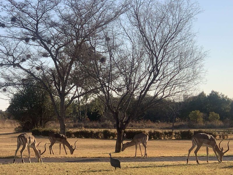 Vacant Land Residential For Sale in Koro Creek Golf Estate - Photo 2