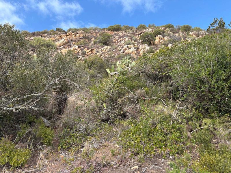 Vacant Land Residential For Sale in Vakansieplaas - Photo 8