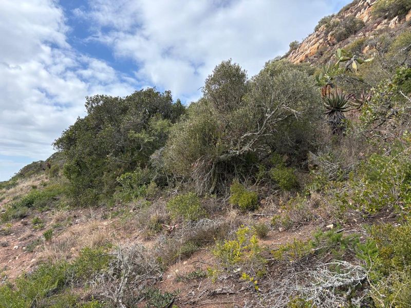 Vacant Land Residential For Sale in Vakansieplaas - Photo 6