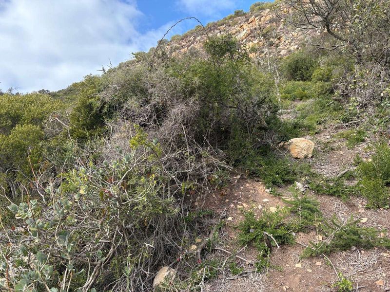 Vacant Land Residential For Sale in Vakansieplaas - Photo 10