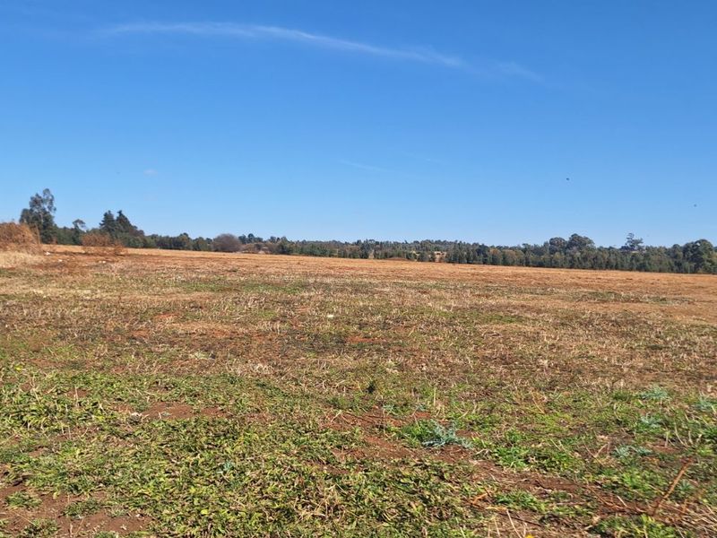 Farm For Sale in Elandsvlei - Photo 4