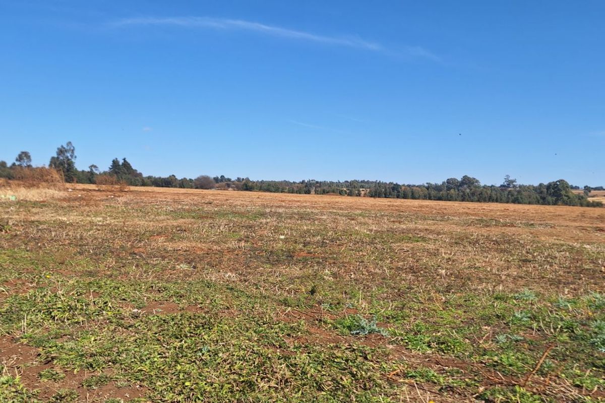 Farm For Sale in Elandsvlei - Photo 4