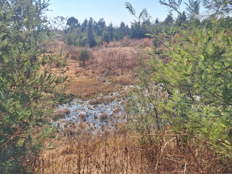 Farm For Sale in Elandsvlei - Photo 6