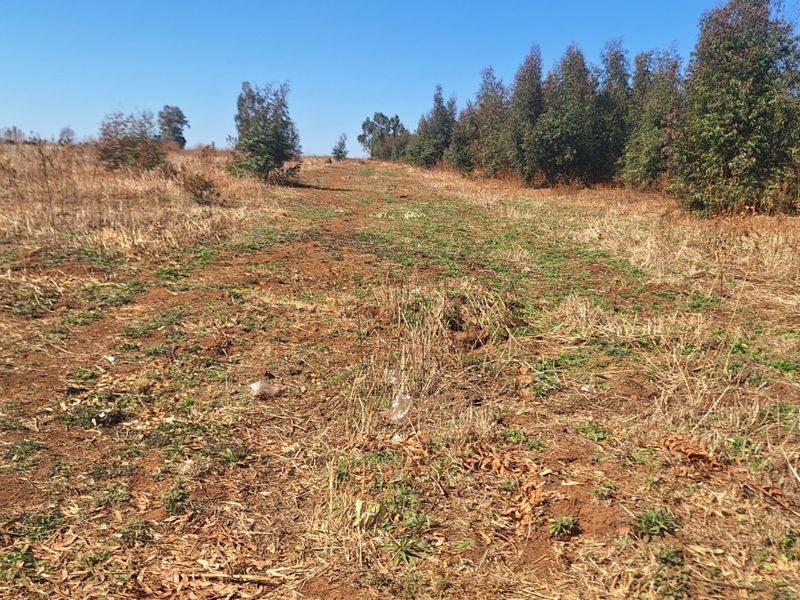 Farm For Sale in Elandsvlei - Photo 5