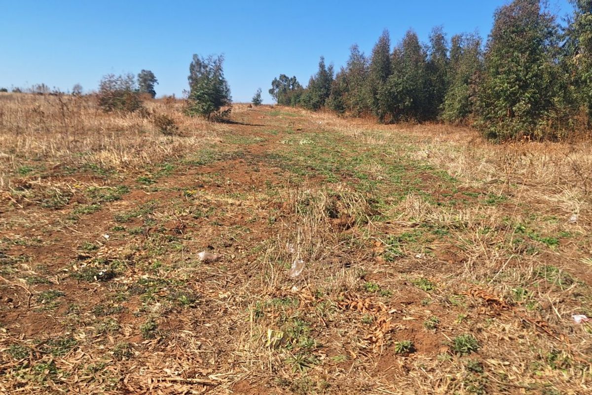 Farm For Sale in Elandsvlei - Photo 5