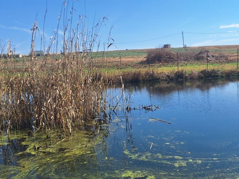 Farm For Sale in Elandsvlei - Photo 3