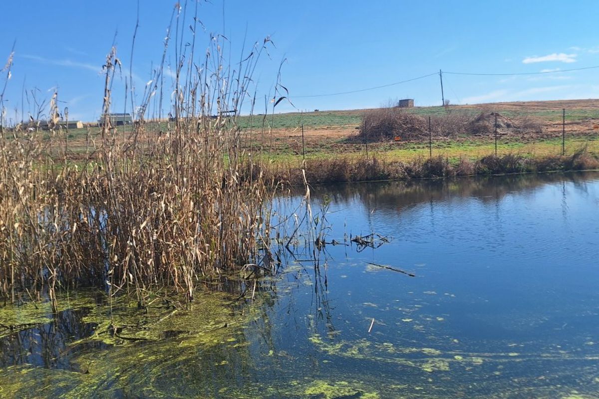 Farm For Sale in Elandsvlei - Photo 3