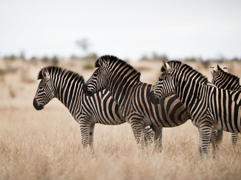 Vacant Land Residential For Sale in Vaal Marina Central - Photo 2