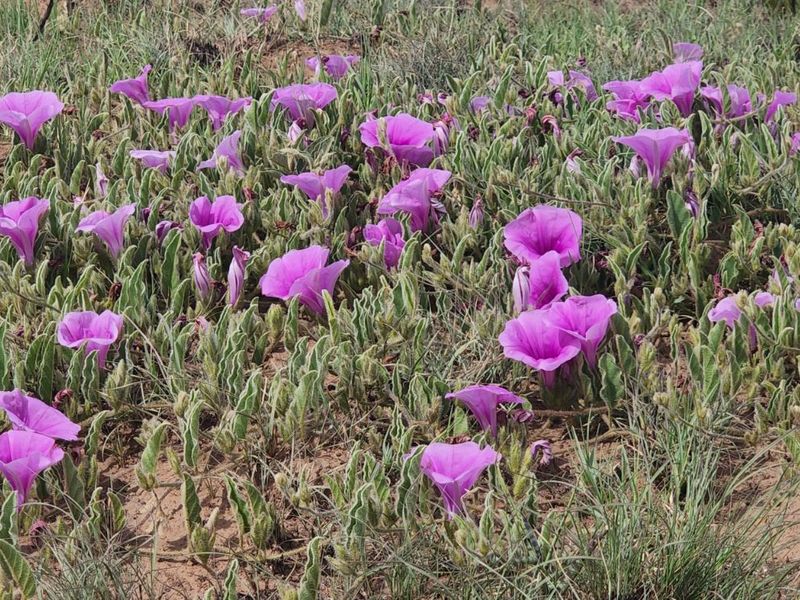 Vacant Land Residential For Sale in Vaal Marina Central - Photo 7