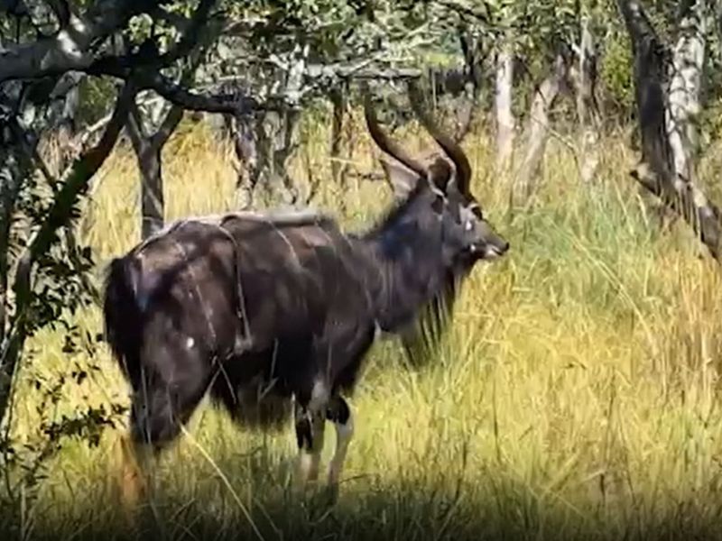 Vacant Land Residential For Sale in Koro Creek Golf Estate - Photo 4