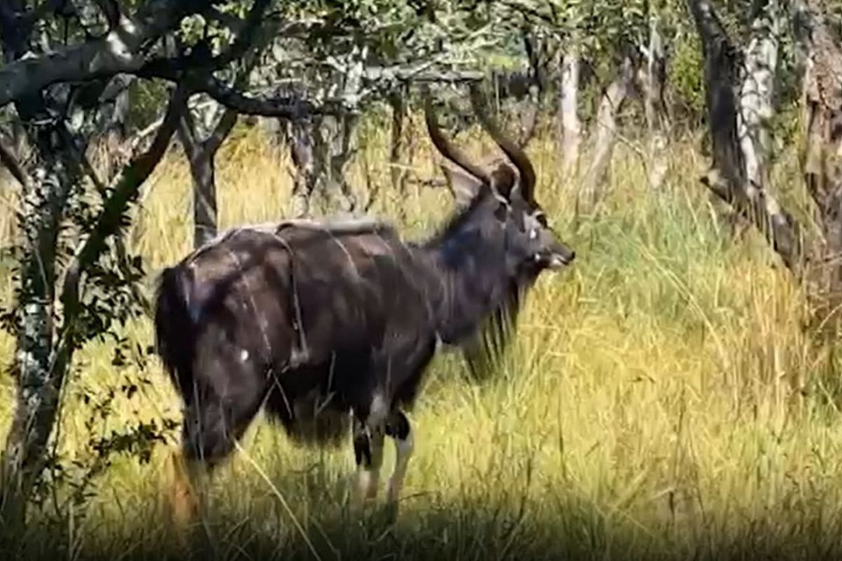 Vacant Land Residential For Sale in Koro Creek Golf Estate - Photo 5