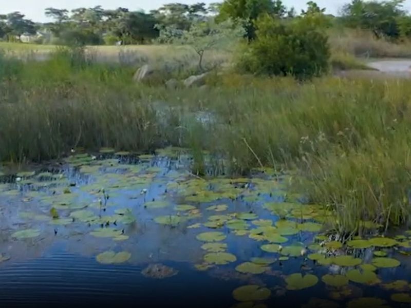 Vacant Land Residential For Sale in Koro Creek Golf Estate - Photo 5