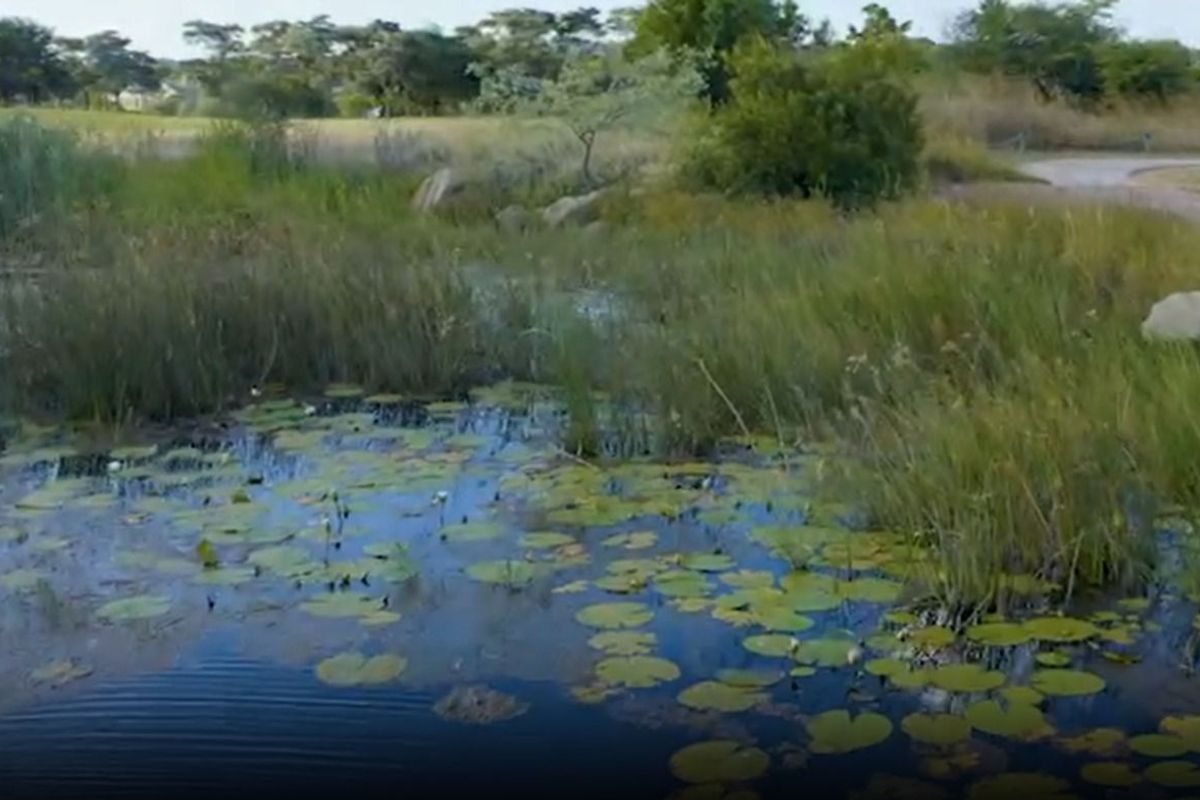 Vacant Land Residential For Sale in Koro Creek Golf Estate - Photo 5