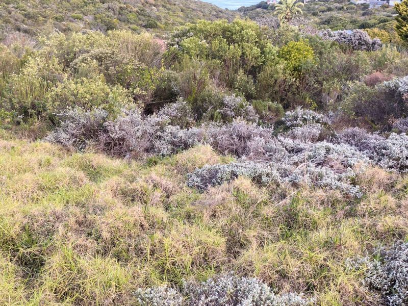 Vacant Land Residential For Sale in Dana Bay - Photo 5