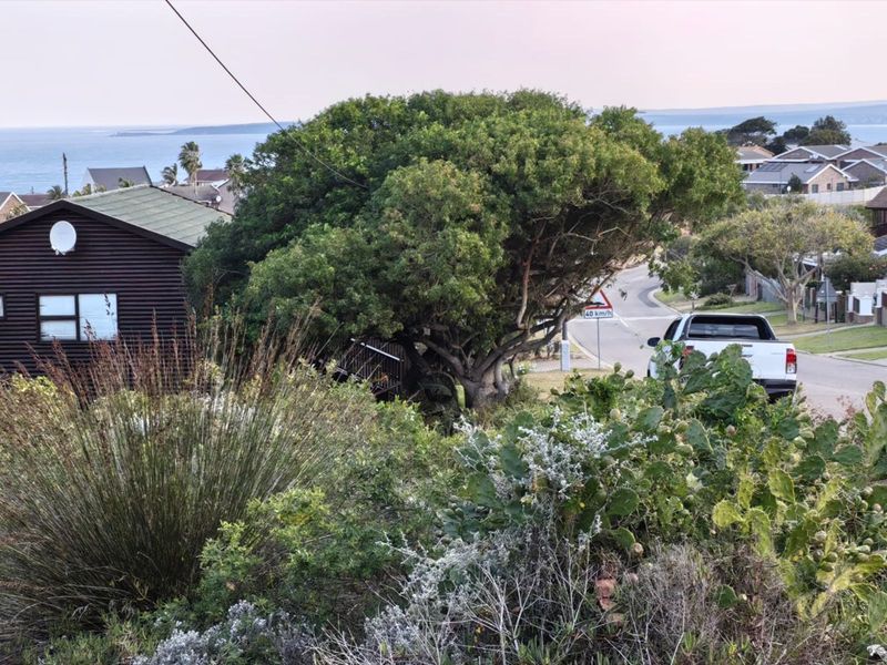 Vacant Land Residential For Sale in Dana Bay - Photo 3