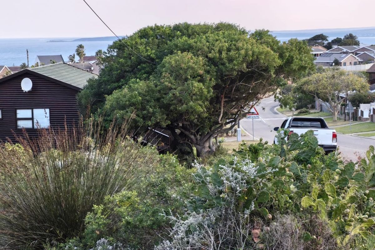 Vacant Land Residential For Sale in Dana Bay - Photo 3