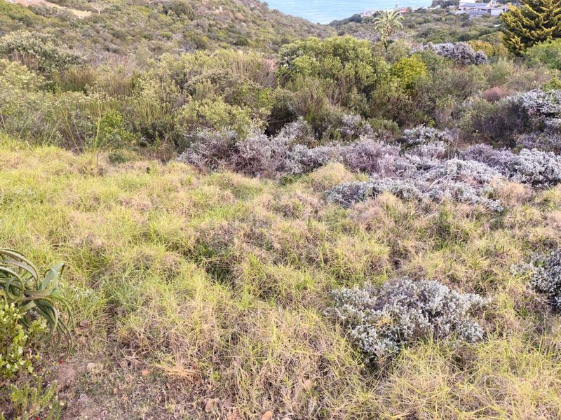 Vacant Land Residential For Sale in Dana Bay - Photo 7