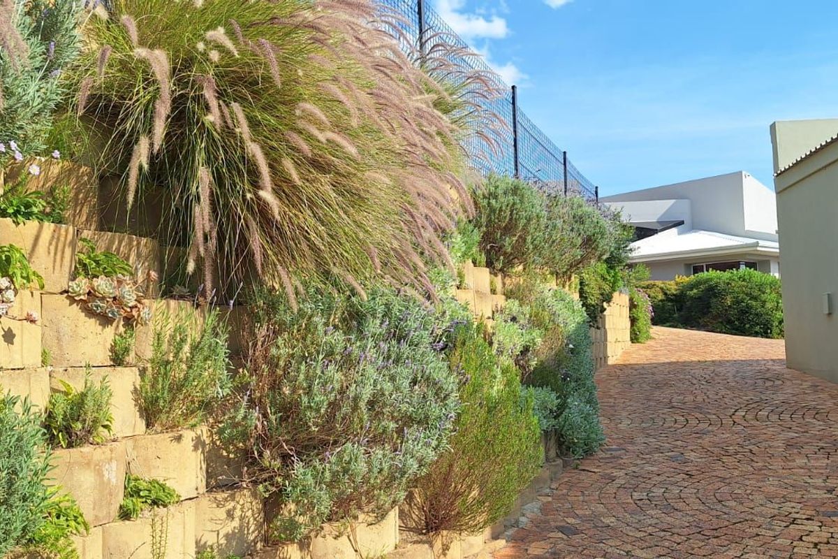 A well-maintained paved driveway alongside a tiered retaining wall featuring established landscaping and decorative plantings.