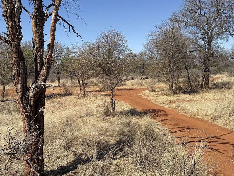 Farm For Sale in Lephalale Rural - Photo 9