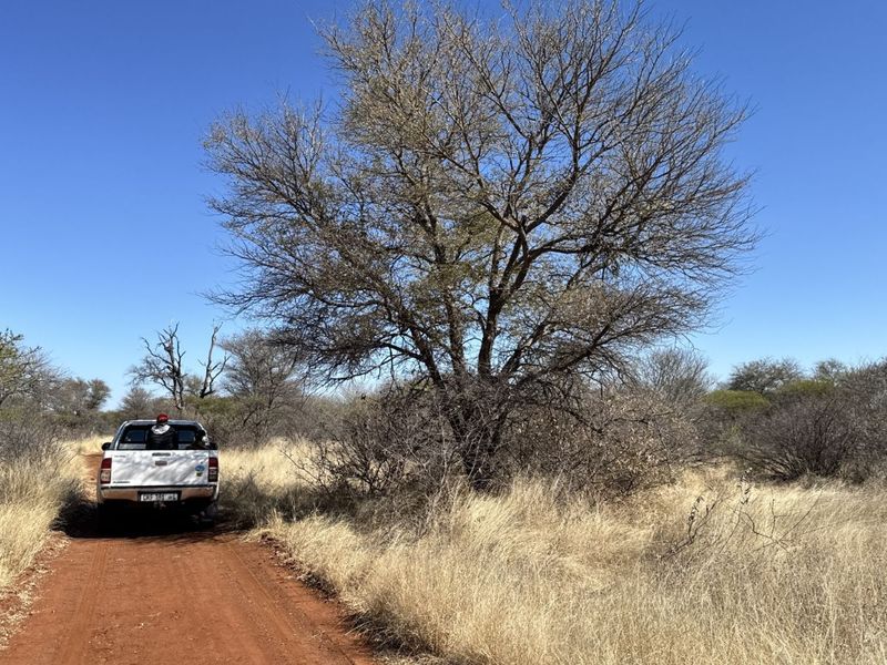 Farm For Sale in Lephalale Rural - Photo 6