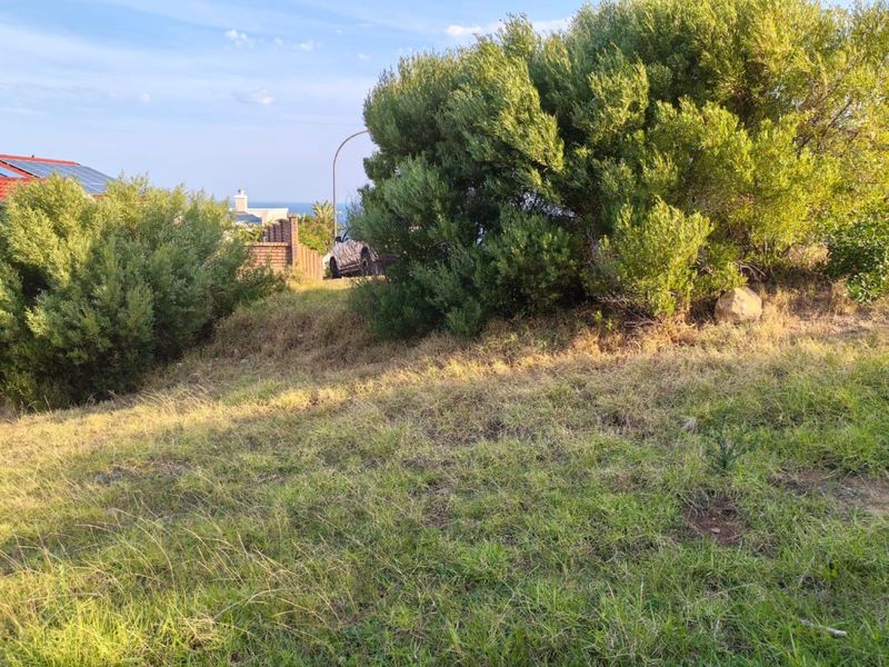 Vacant Land Residential For Sale in Dana Bay - Photo 2