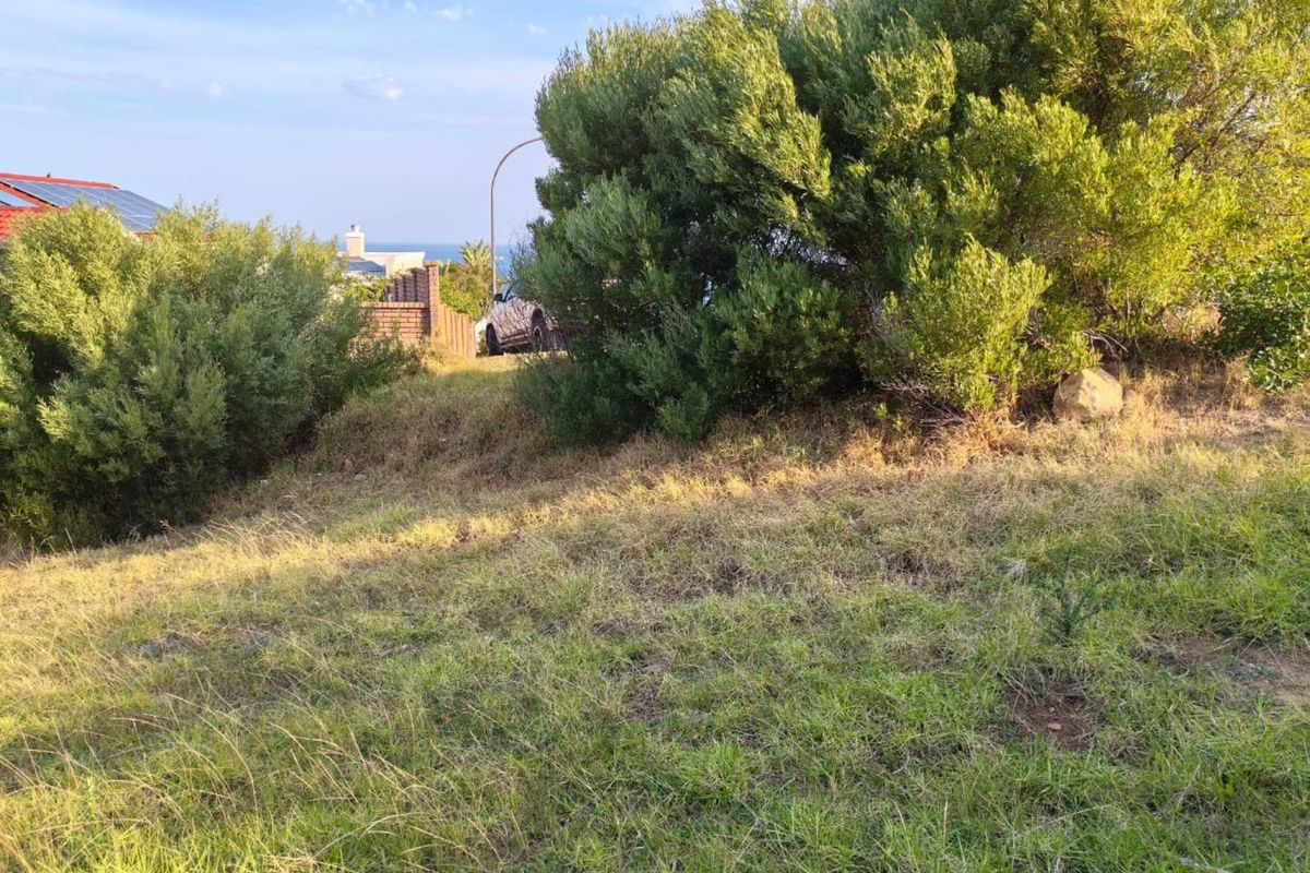 Vacant Land Residential For Sale in Dana Bay - Photo 2