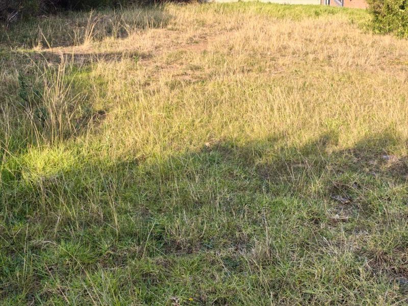 Vacant Land Residential For Sale in Dana Bay - Photo 3