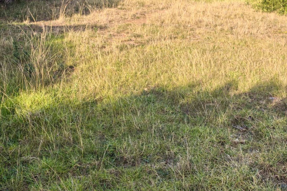 Vacant Land Residential For Sale in Dana Bay - Photo 3