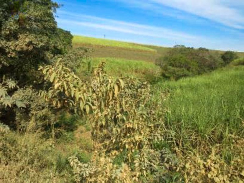 Farm For Sale in Fairview Estates - Photo 9