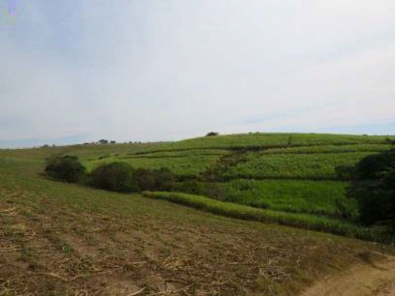 Farm For Sale in Fairview Estates - Photo 8