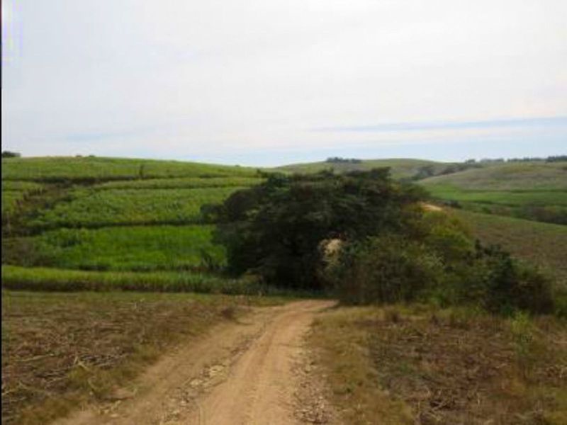 Farm For Sale in Fairview Estates - Photo 7